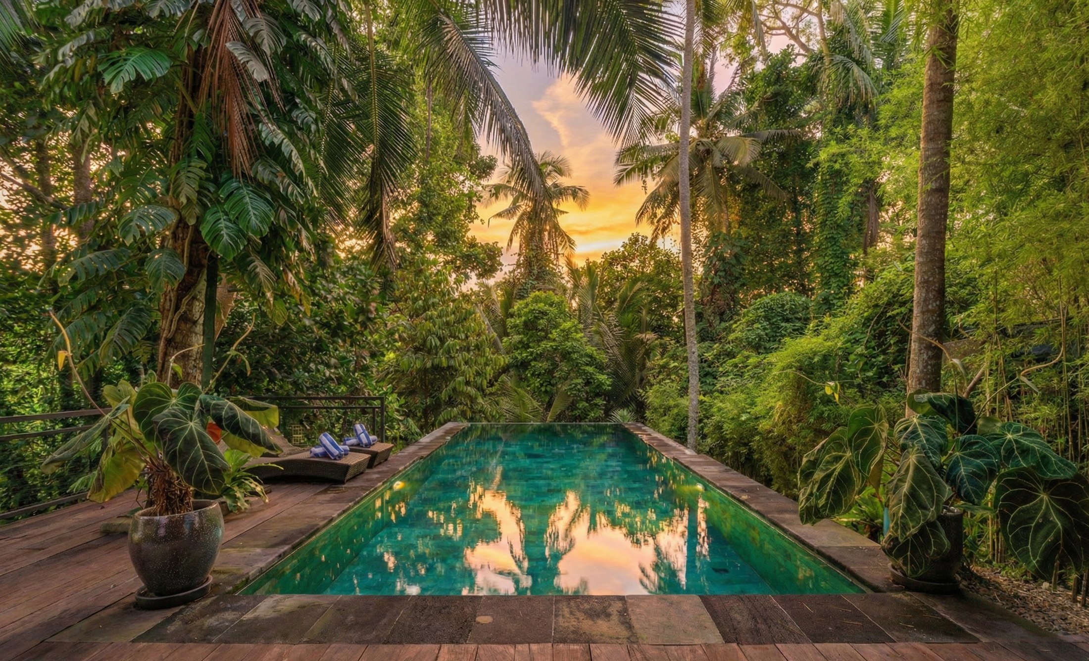 Jungle Escape private infinity pool framed by palms at dusk